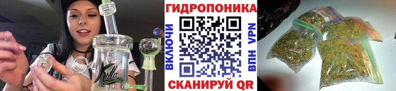 Какие есть наркотики Шимановск Канабис  Alpha-PVP  Бутират  Мефедрон 
