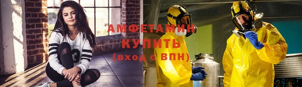 стаф Алзамай