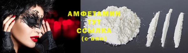 стаф Алзамай