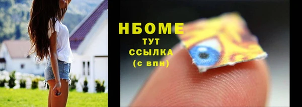 стаф Алзамай