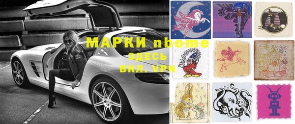стаф Алзамай