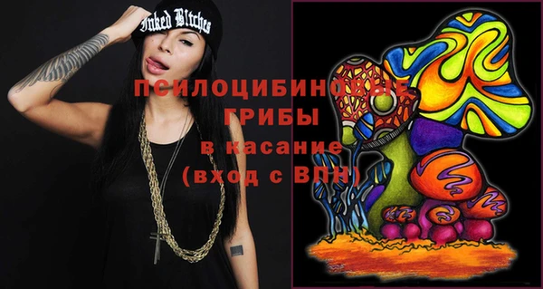 твердый Алексеевка