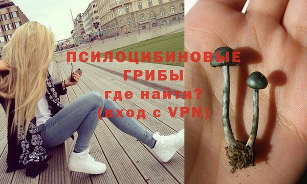 мескалин Алексин