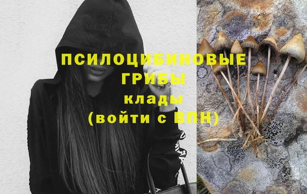 мескалин Алексин