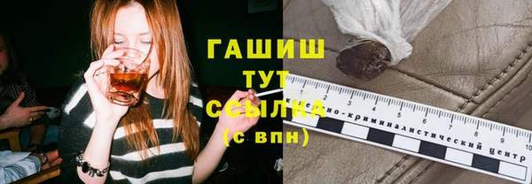 стаф Алзамай