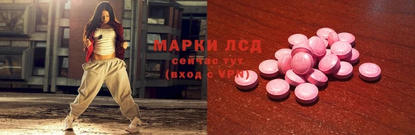 стаф Алзамай