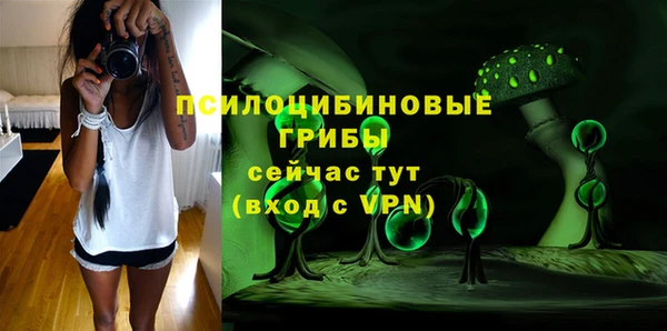 твердый Алексеевка