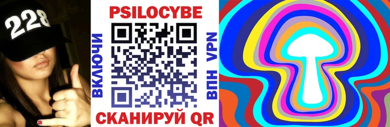 Псилоцибиновые грибы Cubensis  Шимановск 
